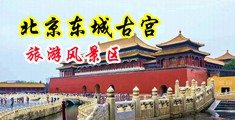 女人被操的抽搐视频美中国北京-东城古宫旅游风景区